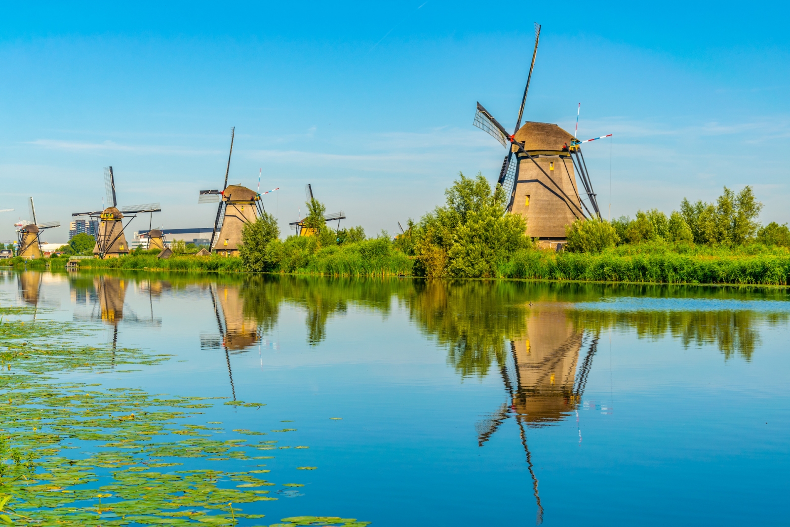 Moulins à vent de Kinderdijk vus pendant la journée d'été ensoleillée, Rotterdam, Pays-Bas