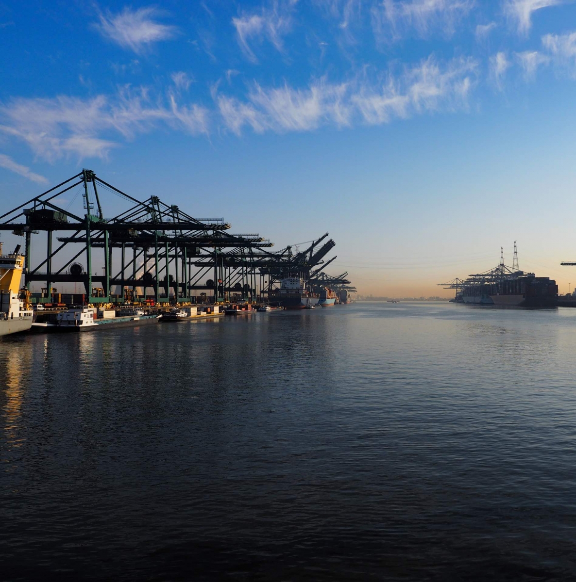 Harbor cranes unloading containers from ships on a sunny morning in the port of Antwerp.