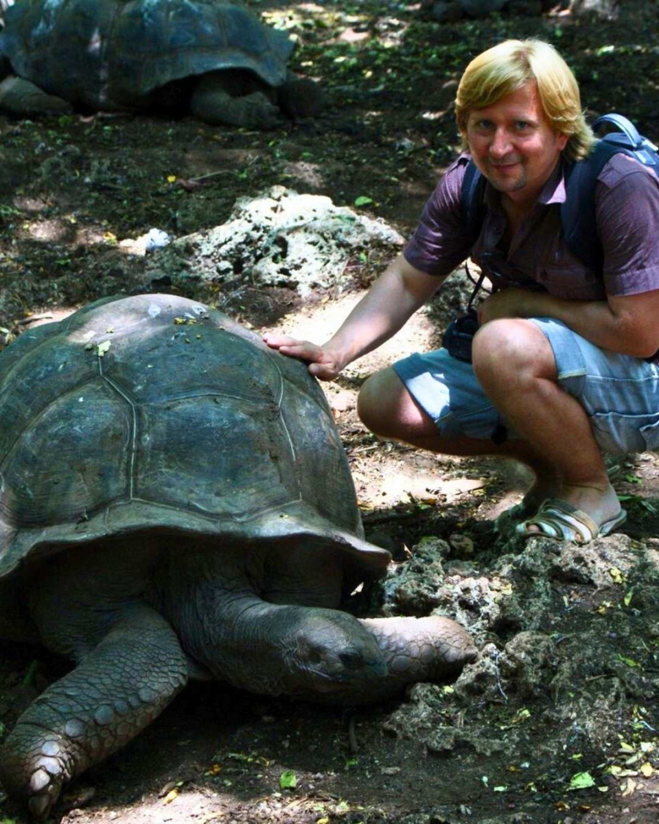 Die Riesenschildkröten von Prison Island