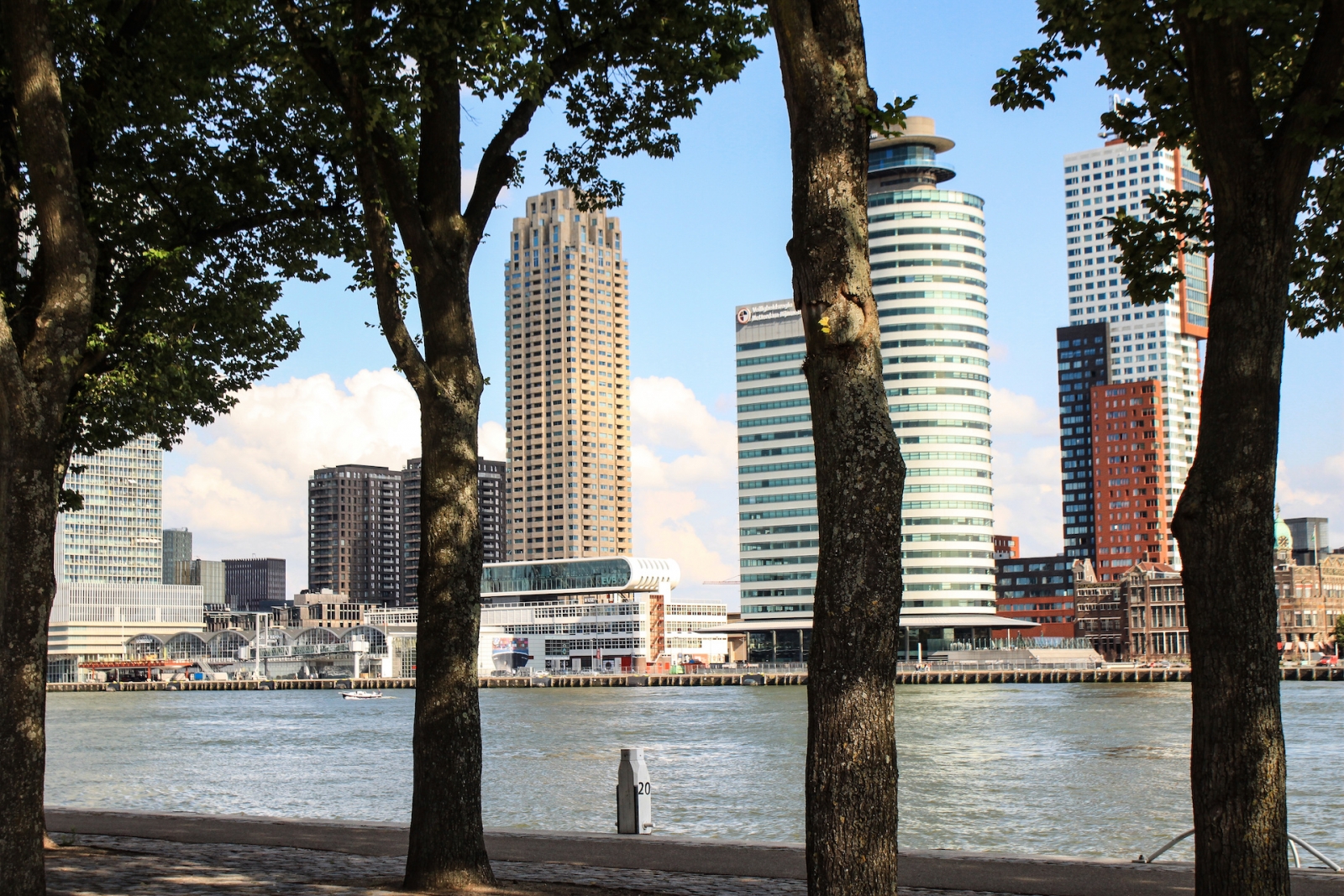 Rotterdam;  Maasufer an der Westerkade, Blick zur Skyline des Wilhelminapier