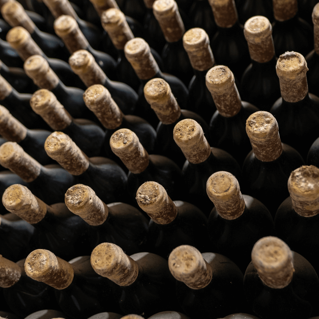 Бутылки винтажного вина, покрытые плесенью, на винодельне в Республике Молдова