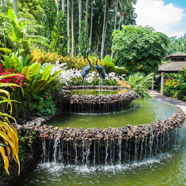 Jardín Nacional de Orquídeas en Singapur