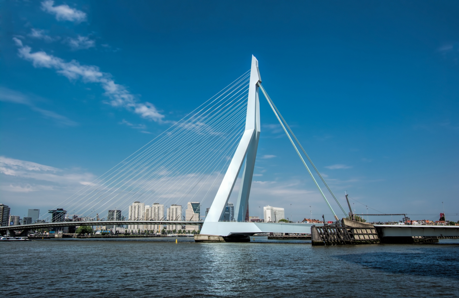 Rotterdam with Erasmus Brug