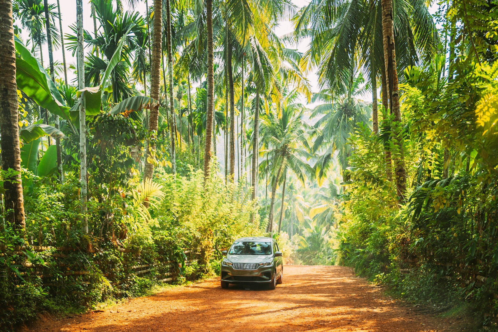 Goa, Inde.  Voiture se déplaçant sur route entourée de palmiers en journée ensoleillée