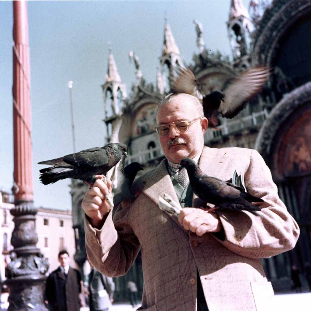 Hemingway und Tauben in Venedig, Italien