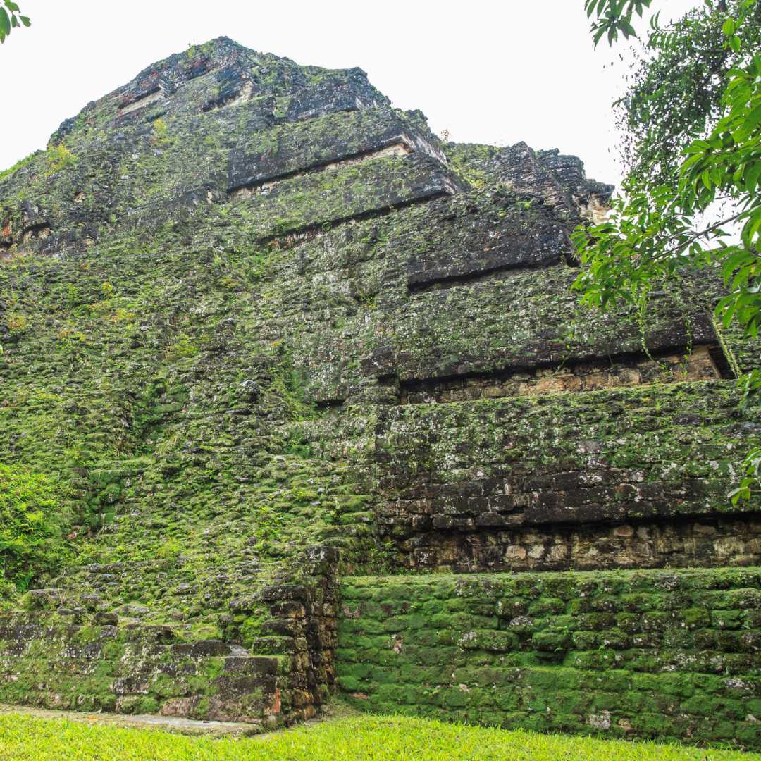 Руины Тикаля в Гватемале