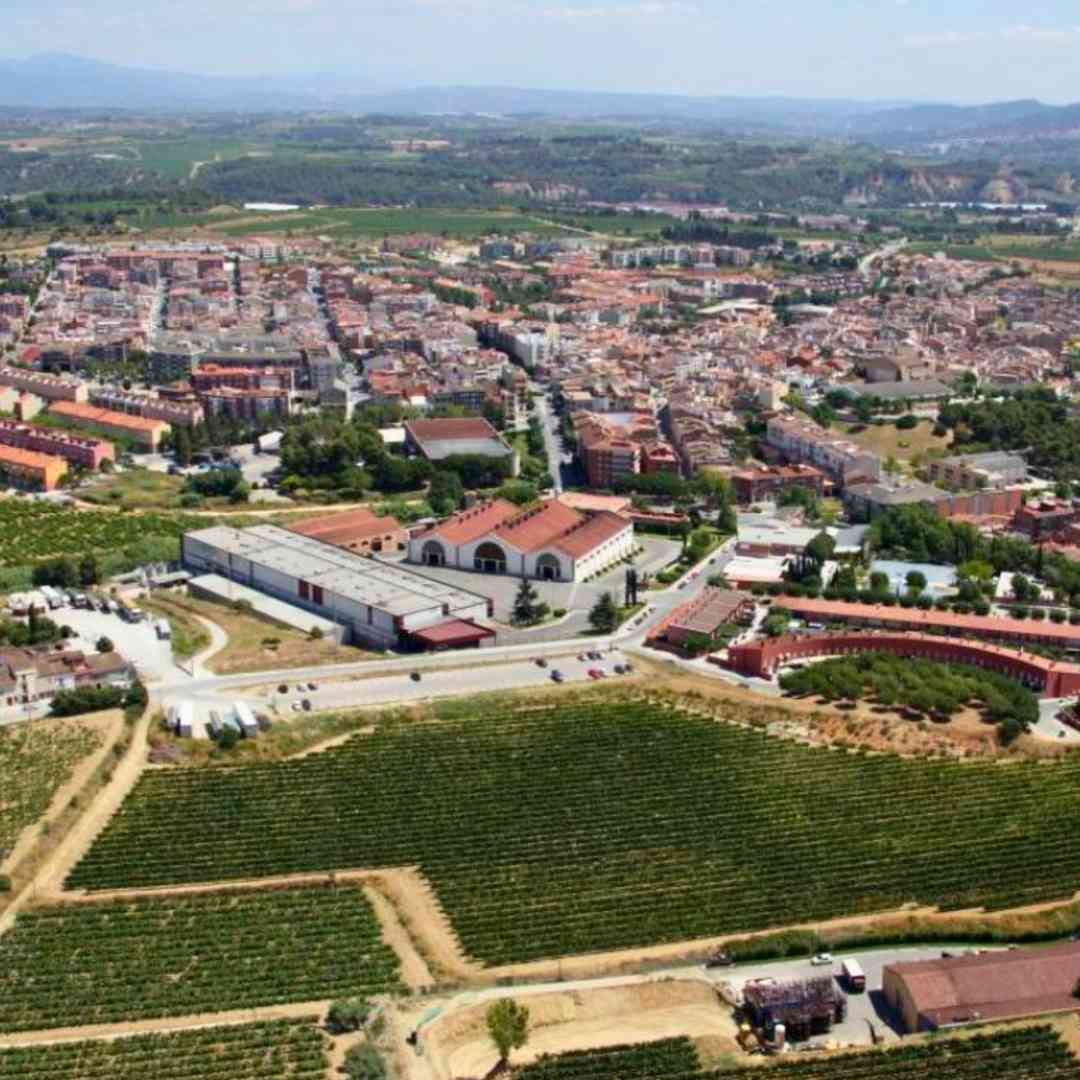 Panoramablick über Sant Sadurní d'Anoia