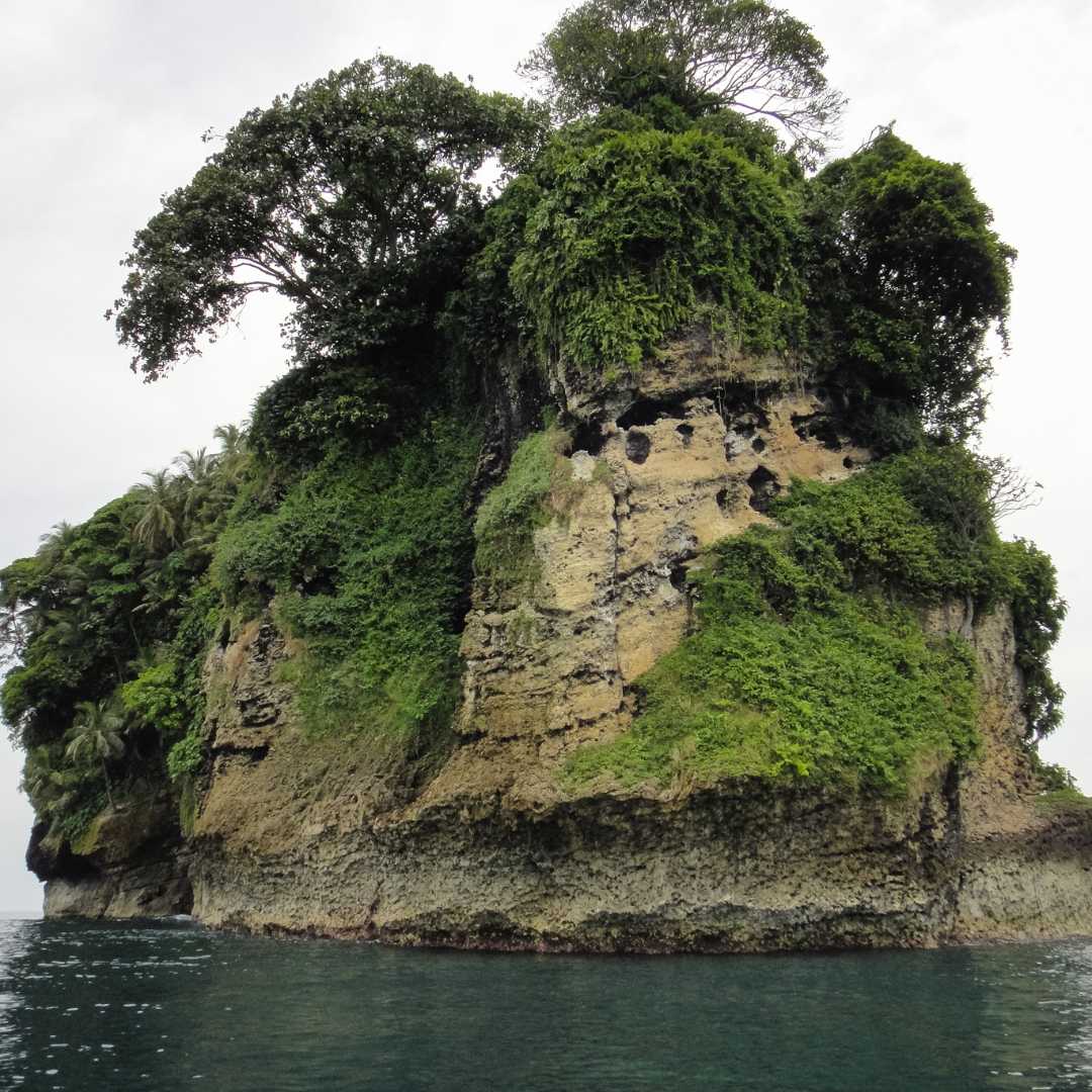 Île aux oiseaux (Birds Island). Bouches de l'archipel du Taureau. Panama. Amérique centrale