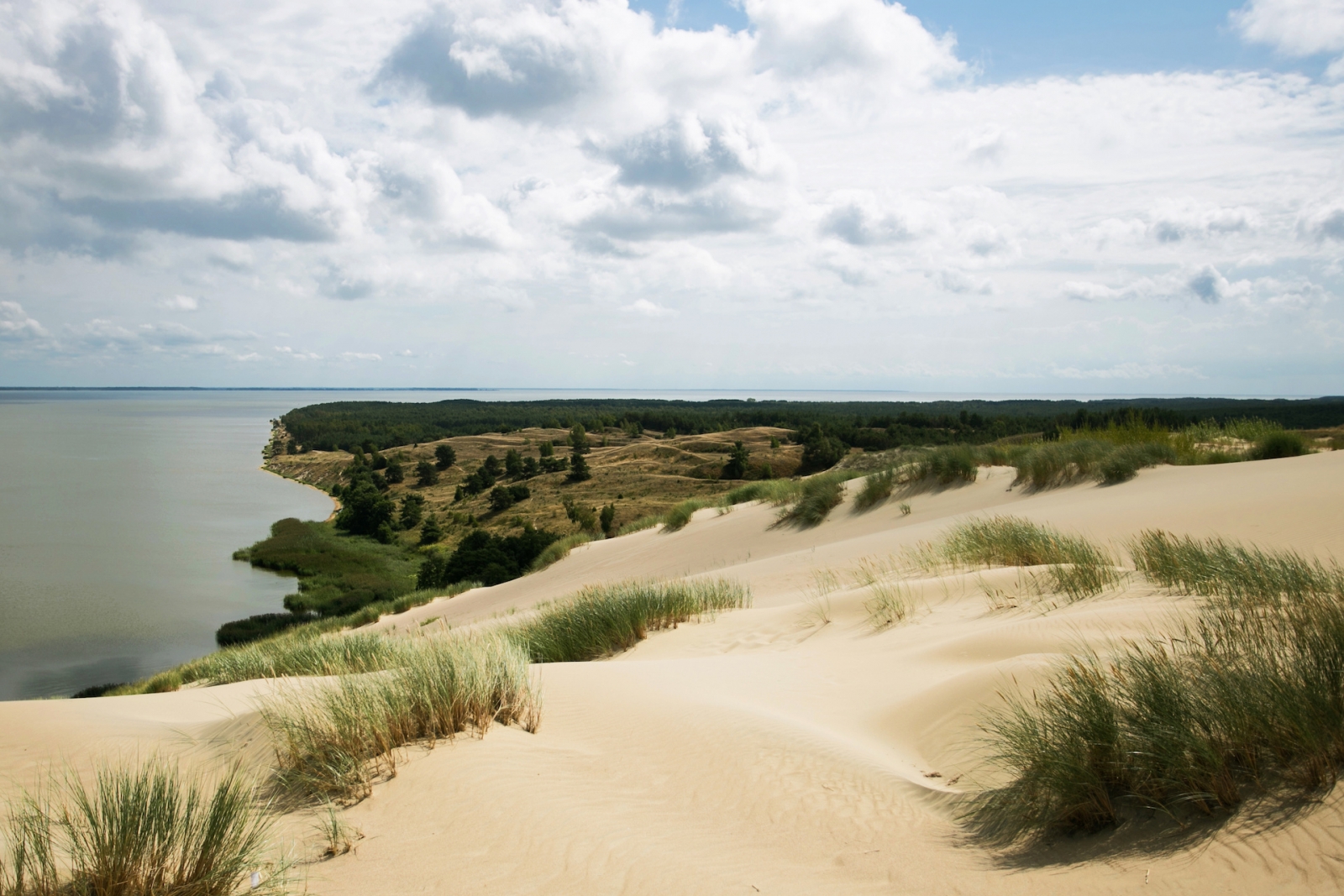 Fond de dunes de sable de l'isthme de Courlande.  Parcourez le paysage lituanien.  Falaise au-dessus de la vue de mer baltique