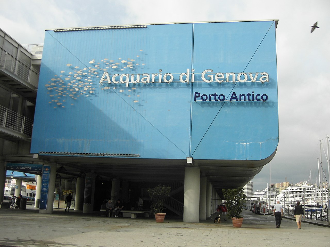 L'aquarium de Gênes