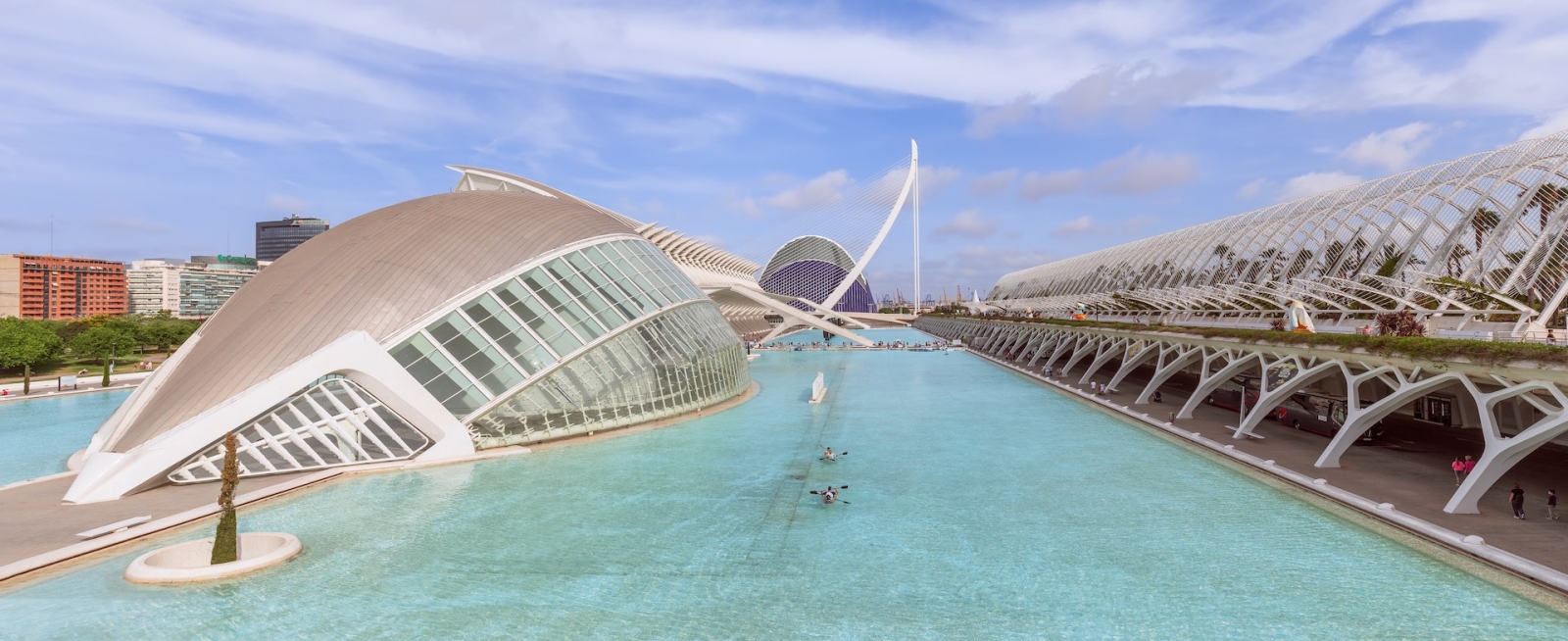 Diversi padiglioni della Città delle Arti e delle Scienze di Valencia