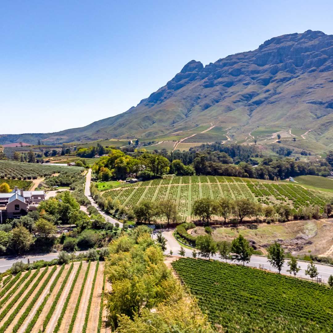 Los famosos viñedos y fincas vinícolas de Sudáfrica con montañas en un día soleado en Stellenbosch