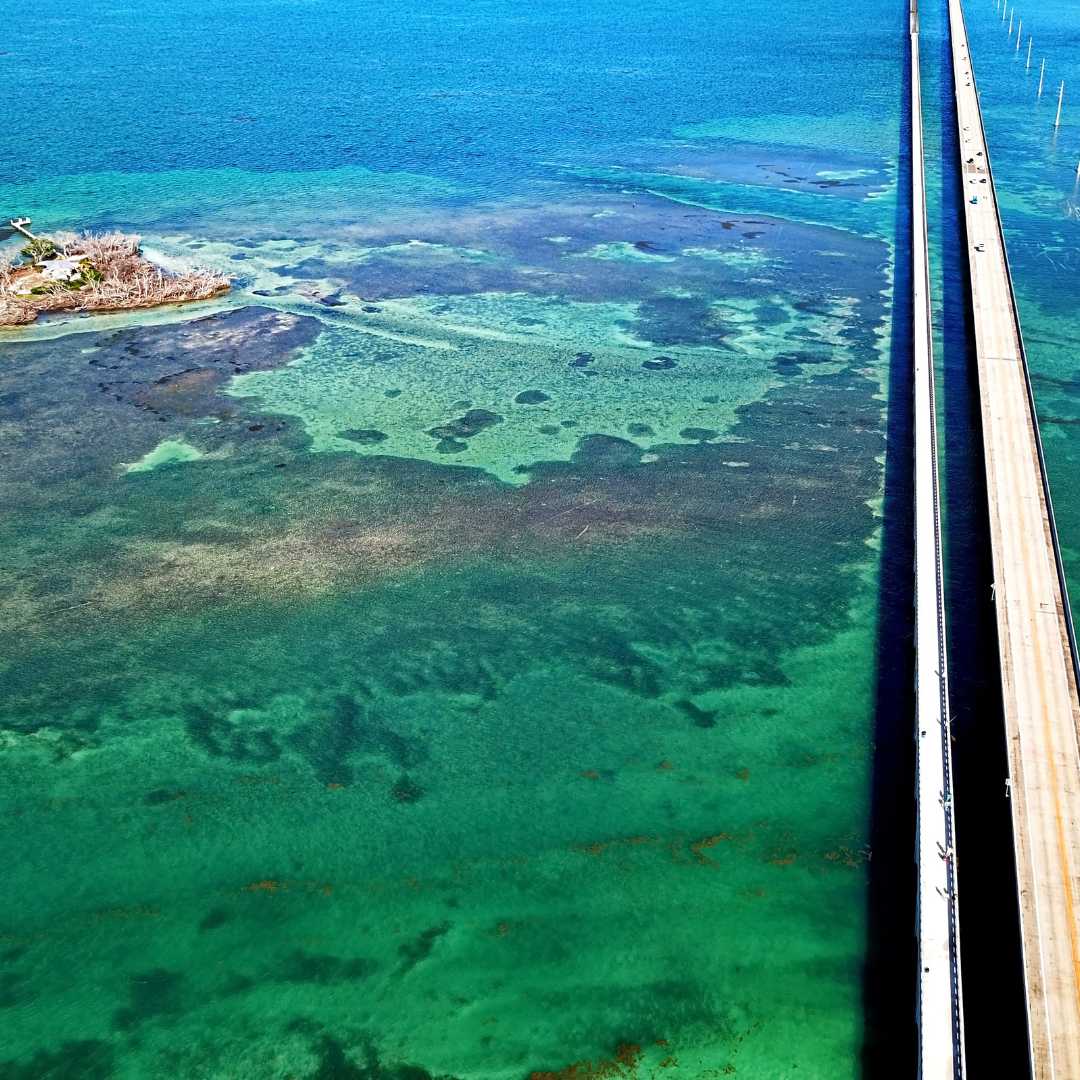 La strada dalle Florida Keys a Key West (4)