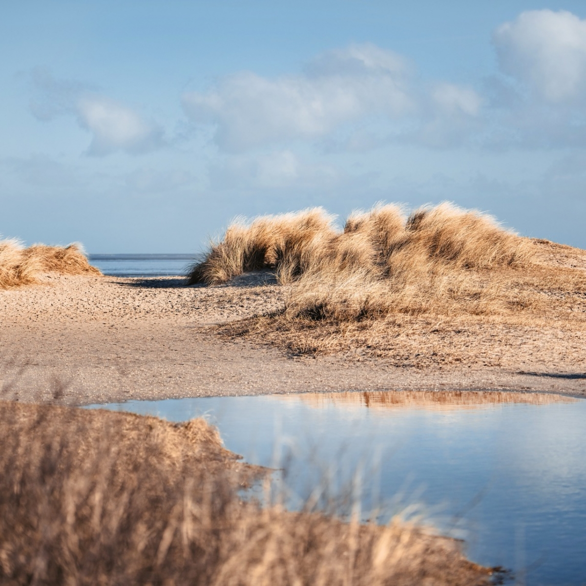 Пляж и море Вильгельмсхафена в осенний сезон