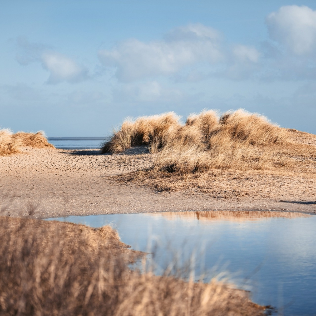 Plage et mer de Wilhelmshaven pendant la saison d'automne