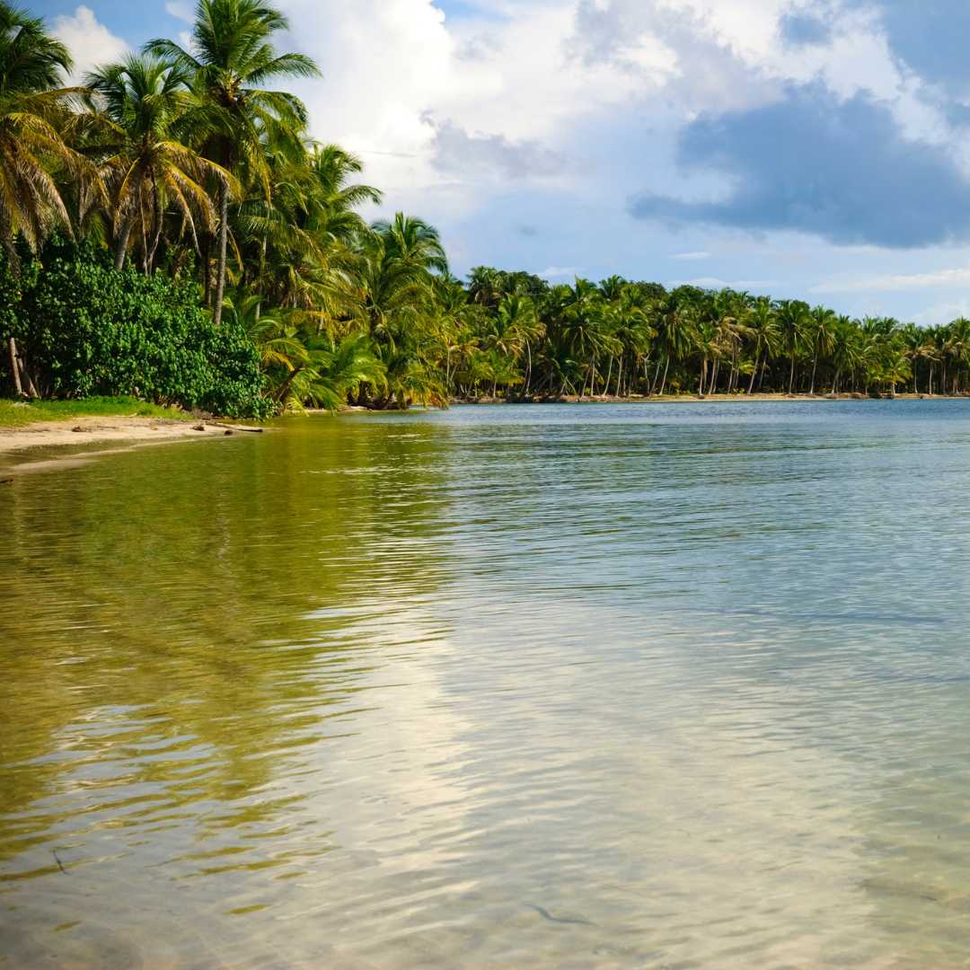 Тропическая сцена в Бока-дель-Драго в Бокас-дель-Торо, Панама