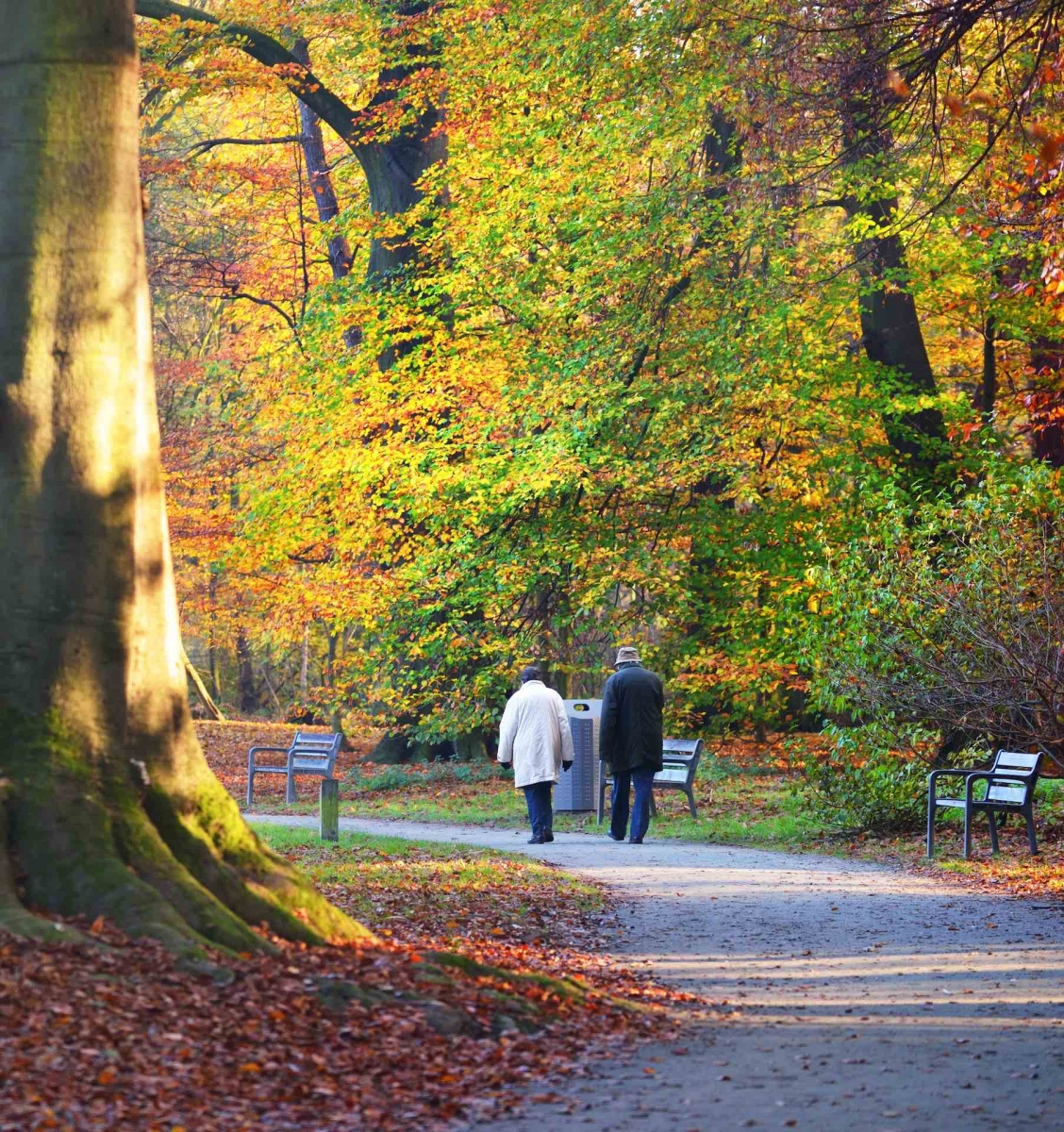 Пожилая пара гуляет по аллее в парке Нахтегален