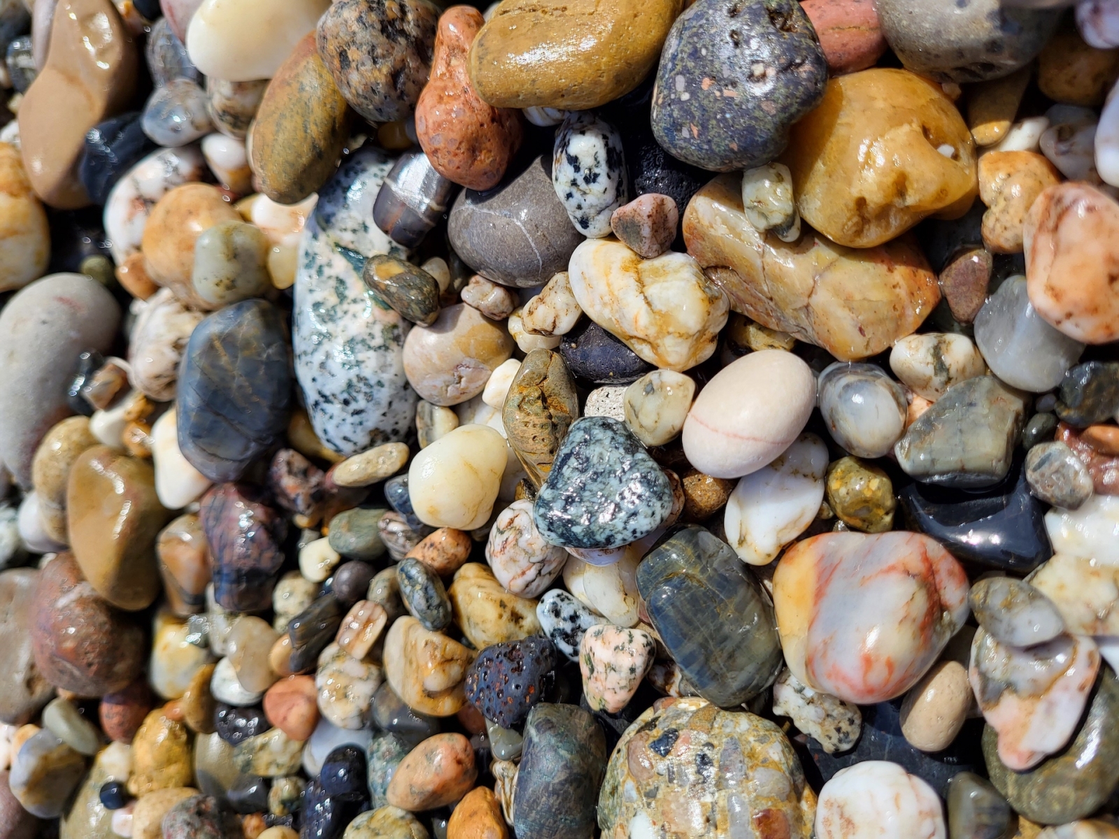 pebbles on Barcelona beach