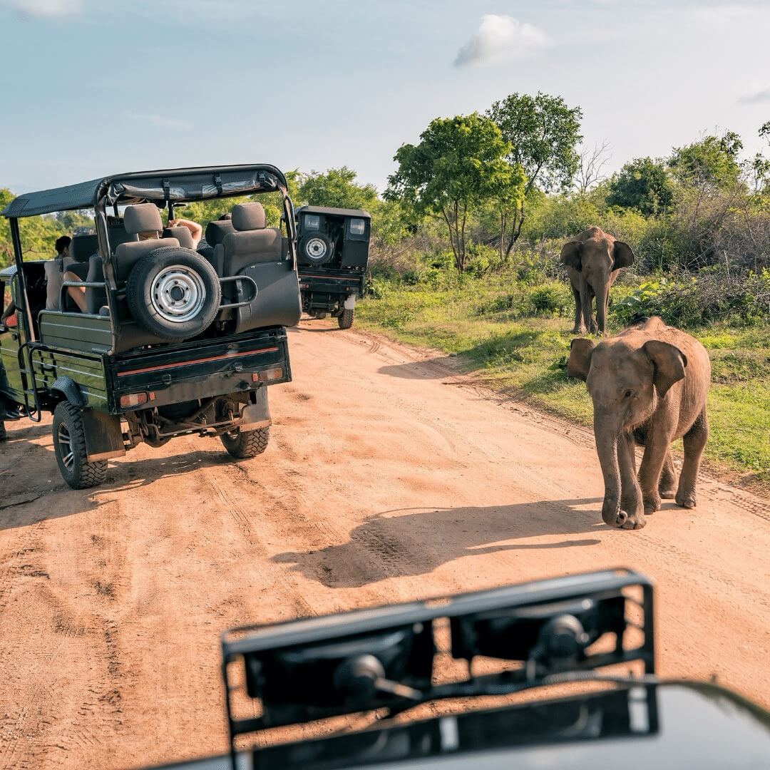 Elefant mit Baby auf Safari in Kenia