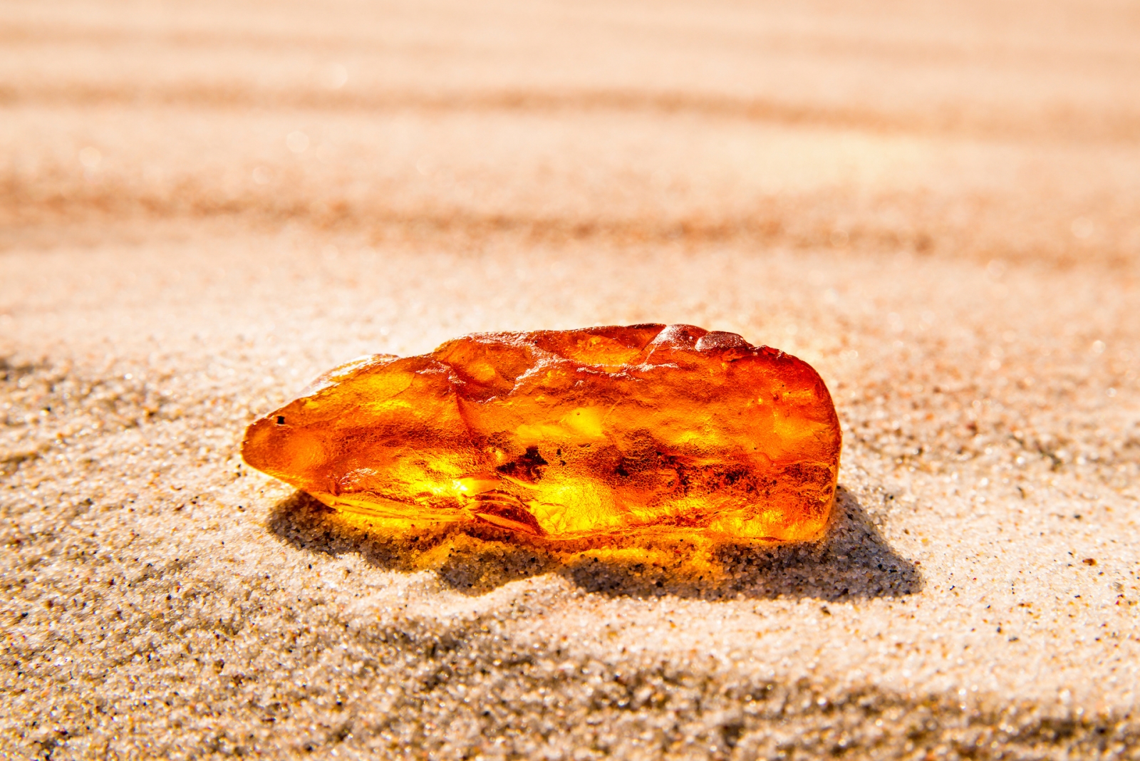 amber on a beach of the Baltic sea