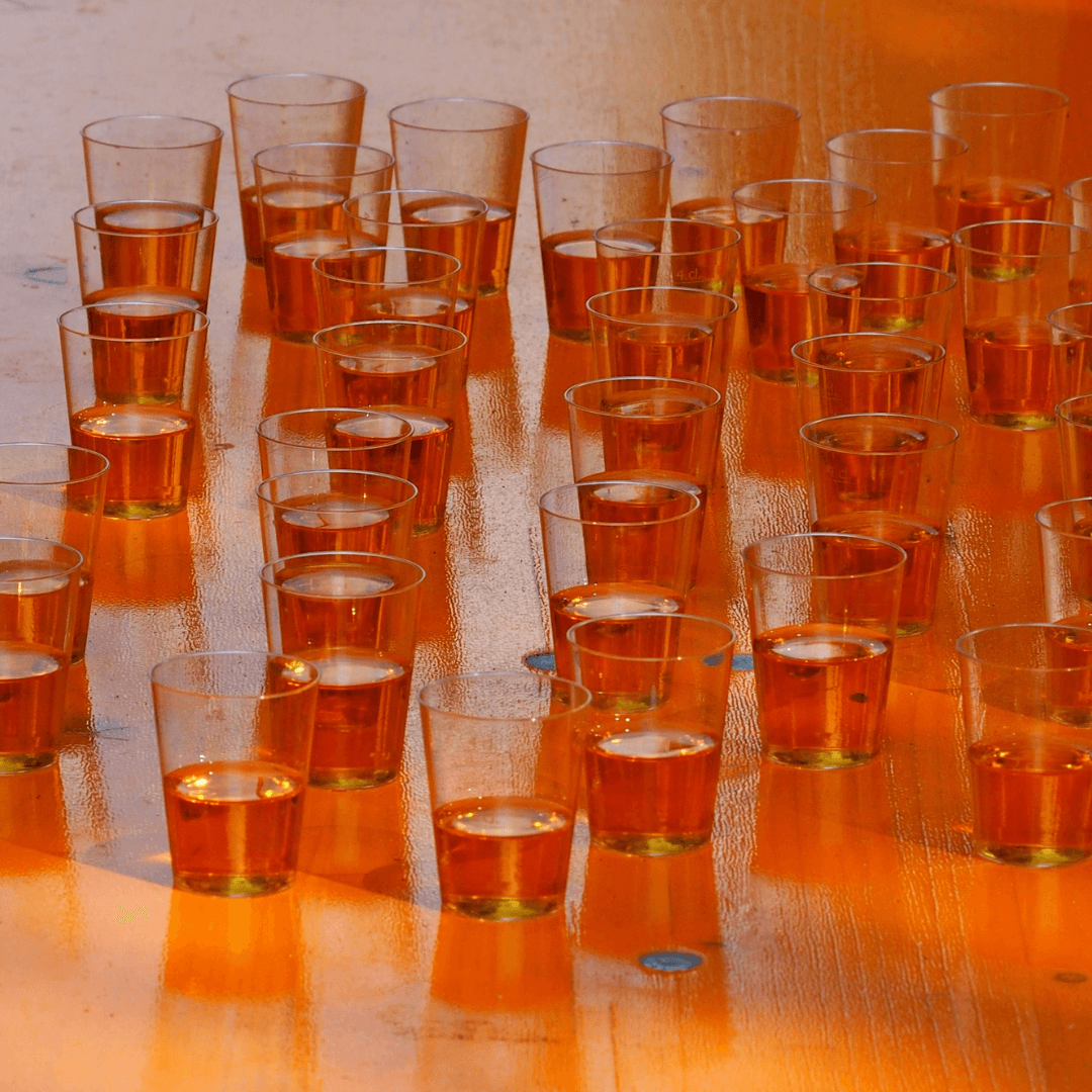 Molti bicchieri di Rakia, o Rakija, un'acquavite di frutta dei Balcani