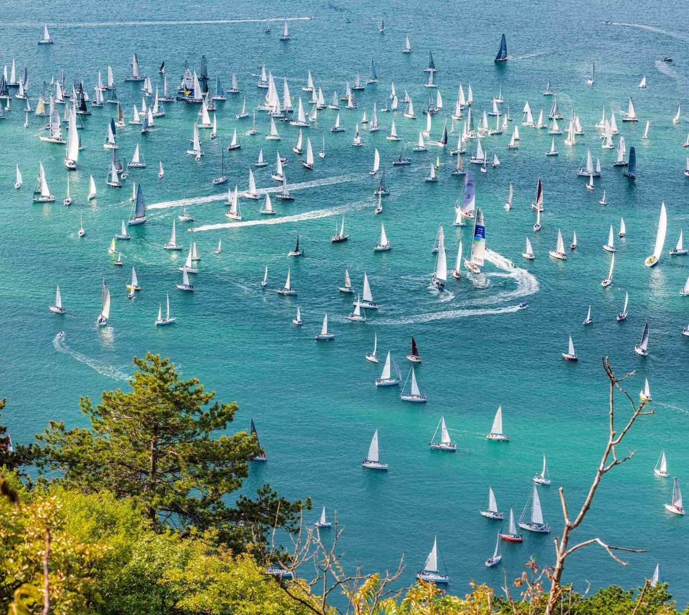 The gulf of Trieste and the fast race of the Barcolana in Italy