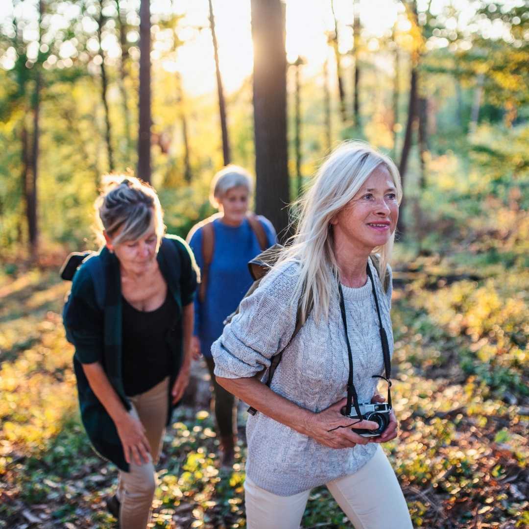 Gruppe älterer Frauen, die bei Tageslicht im Wald spazieren gehen