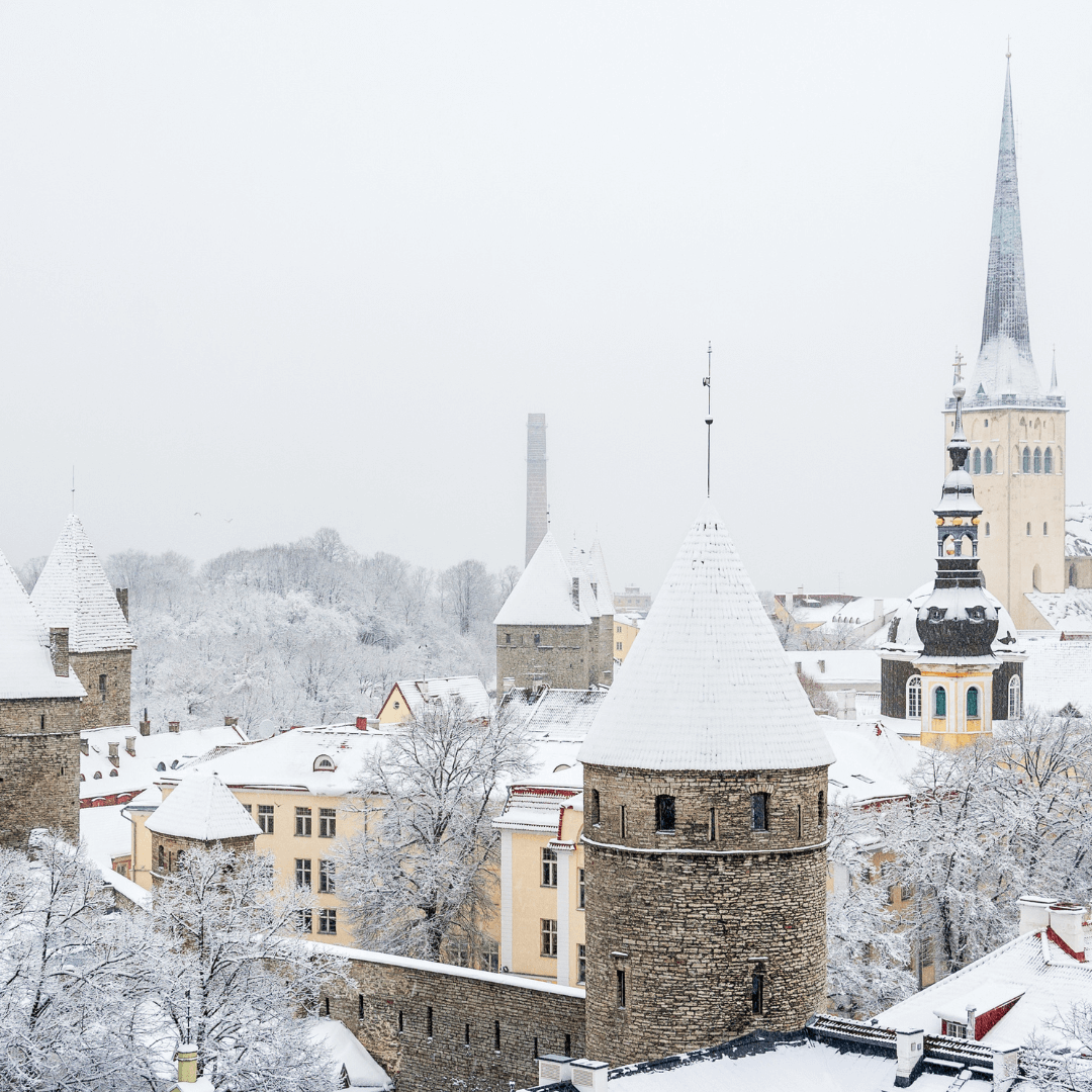 Vieille ville lors d'une chute de neige. Tallinn. Estonie, Europe