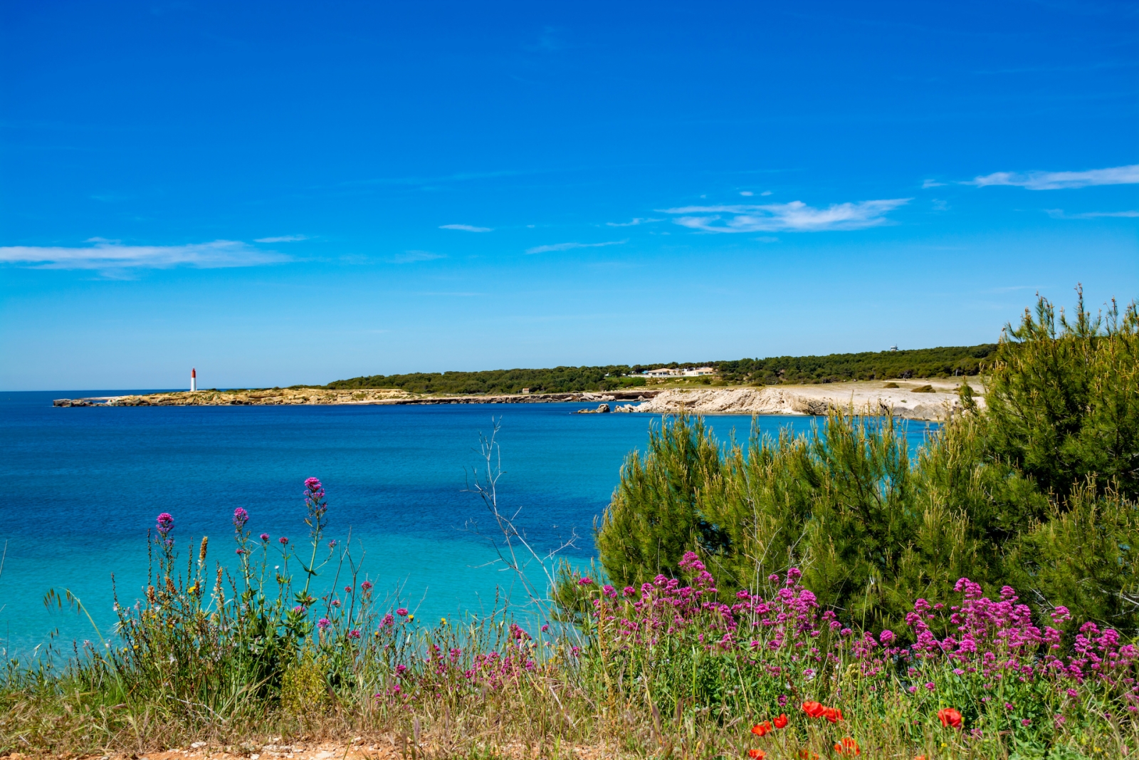 Eau cristalline bleue de la mer Méditerranée