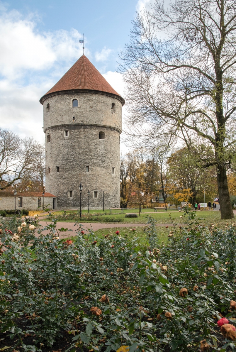 Torre llamada Kiek in de Kök en el casco antiguo de Tallin