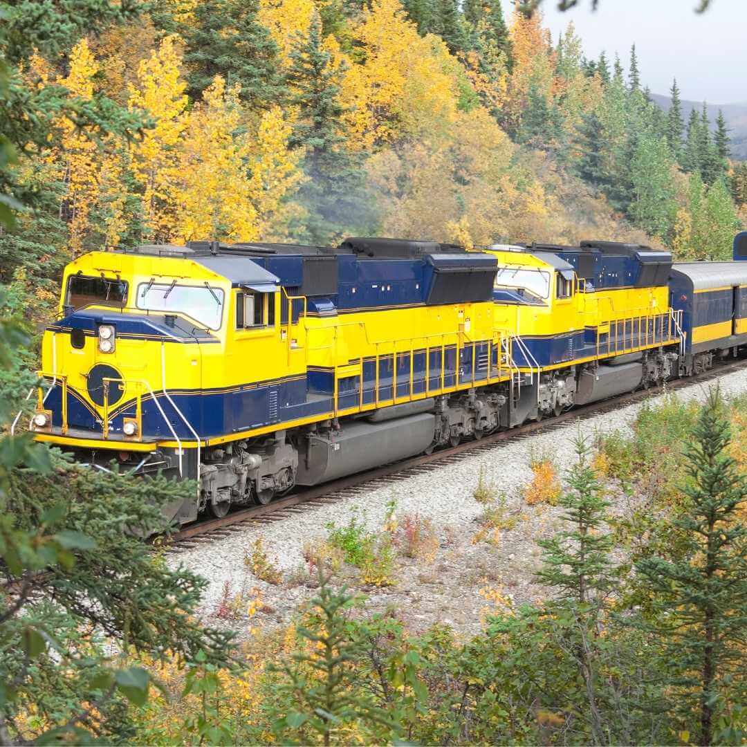 Train de voyageurs de l'Alaska traversant le parc national Denali