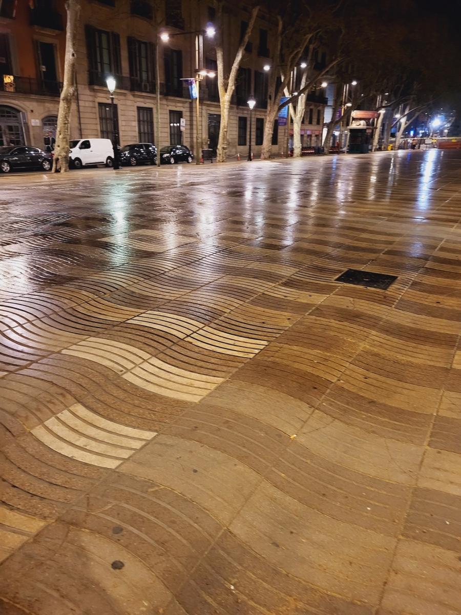 Cleaning Ramblas at night