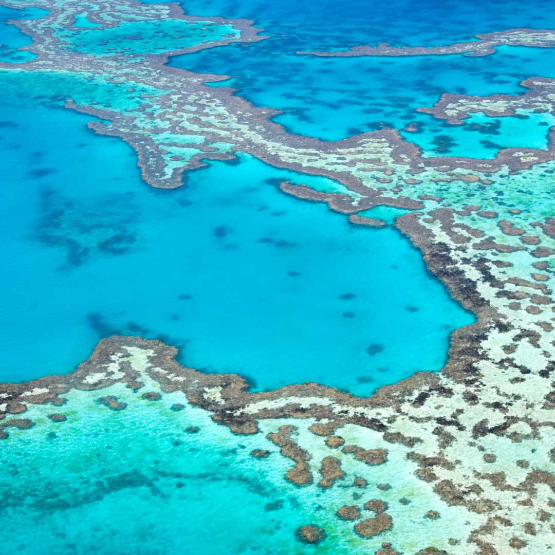 Vista aérea de la Gran Barrera de Coral en Australia