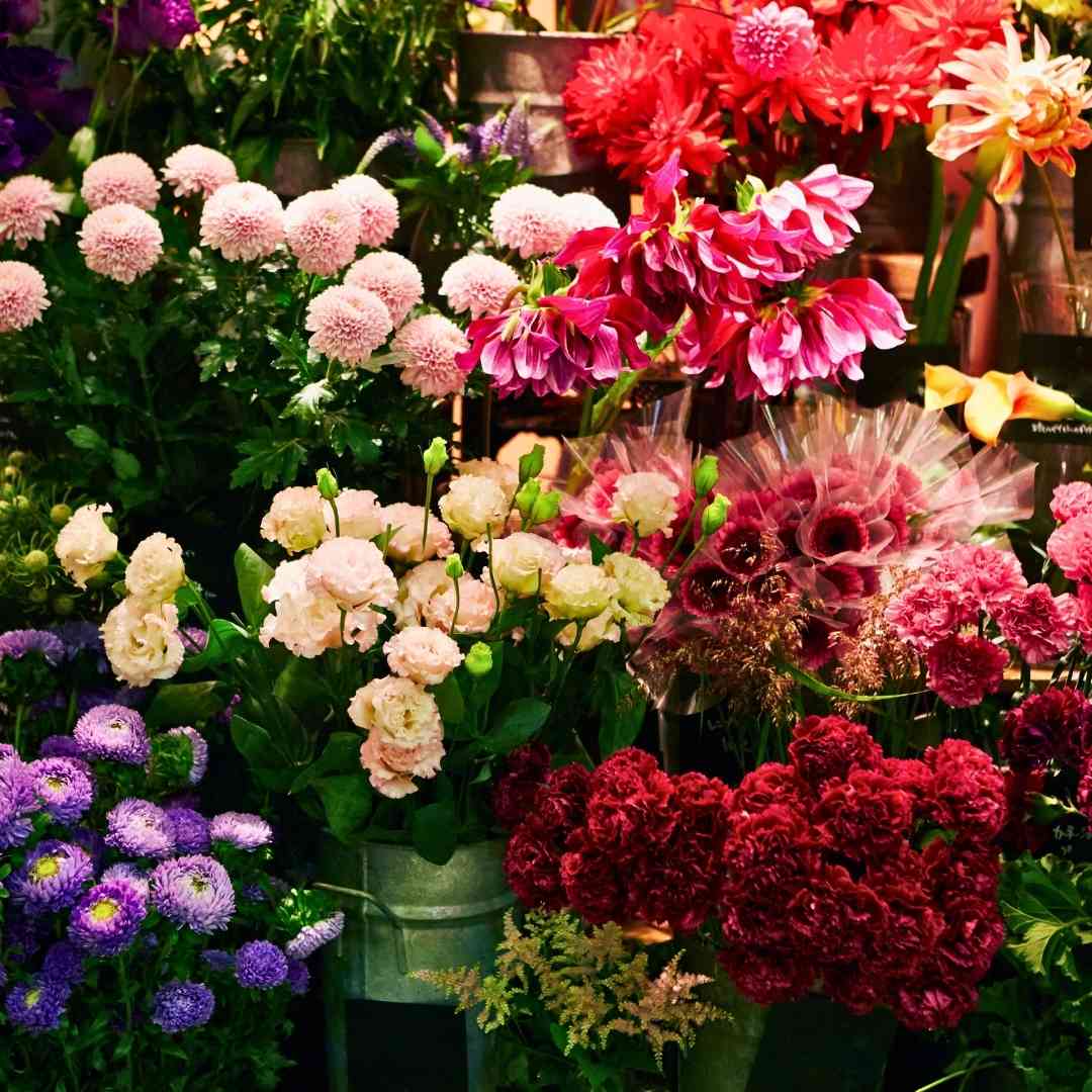 Цветочный магазин в Жироне