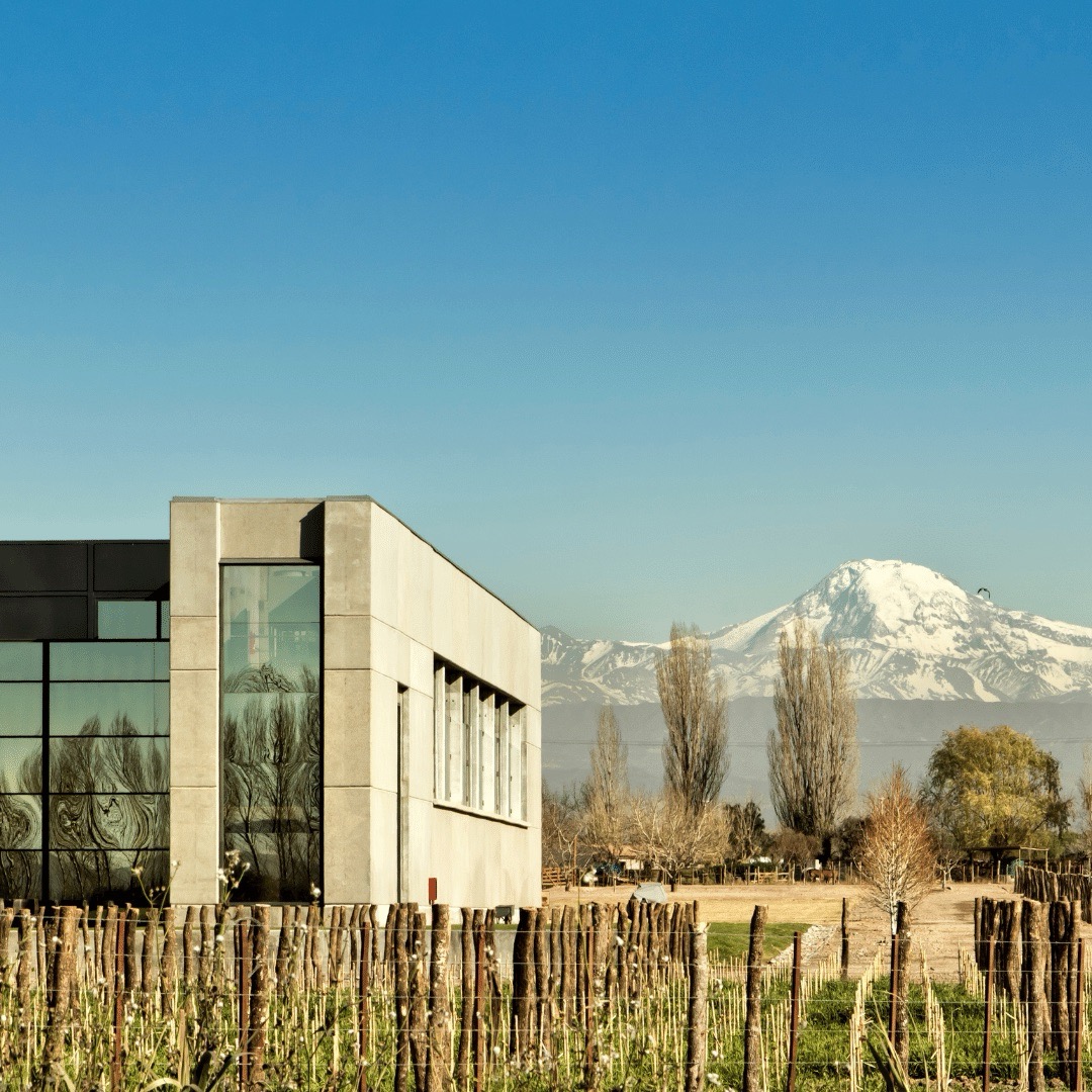 Modern winery in Mendoza