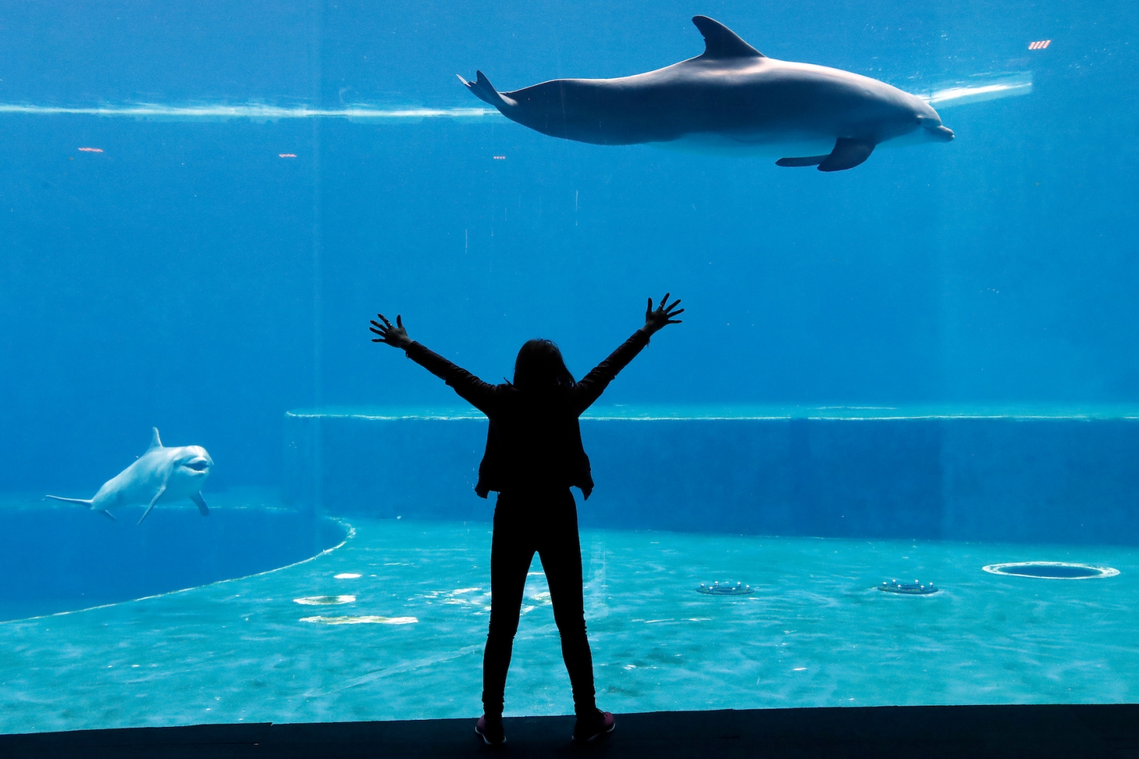 Aquarium in Genoa