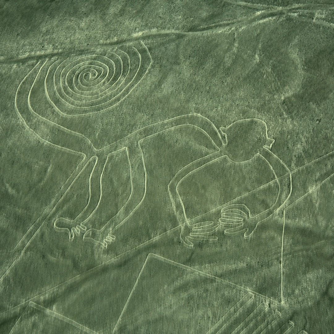 Nazca Lines of Monkey in Peru
