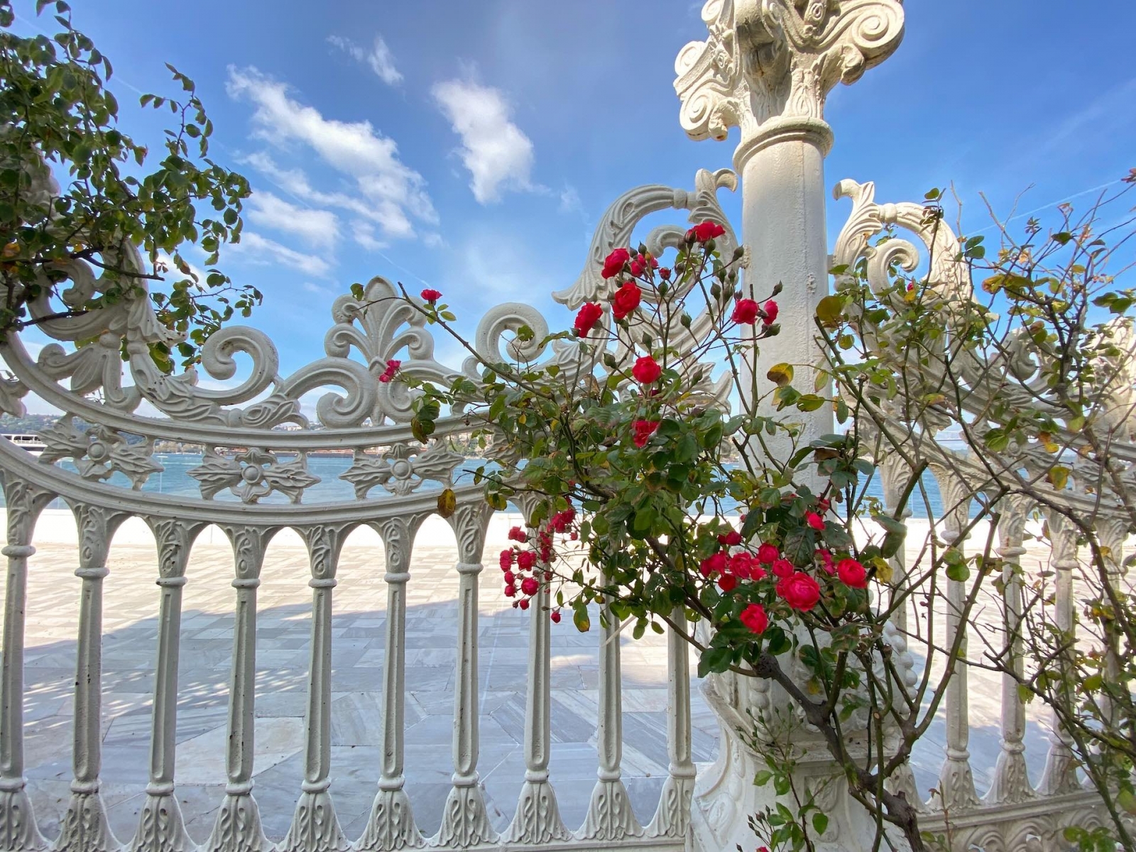 Ein Zaun mit Rosen am Kucuksu-Pavillon in Istanbul