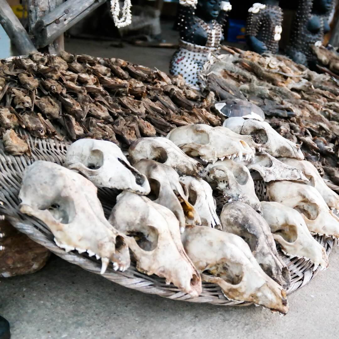 Рынок Вуду в Уиде, Бенин
