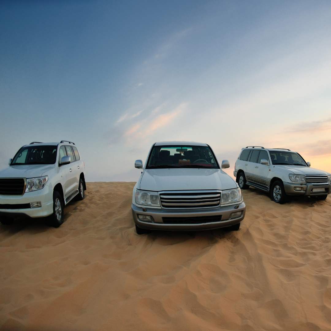Vehículos de safari por el desierto