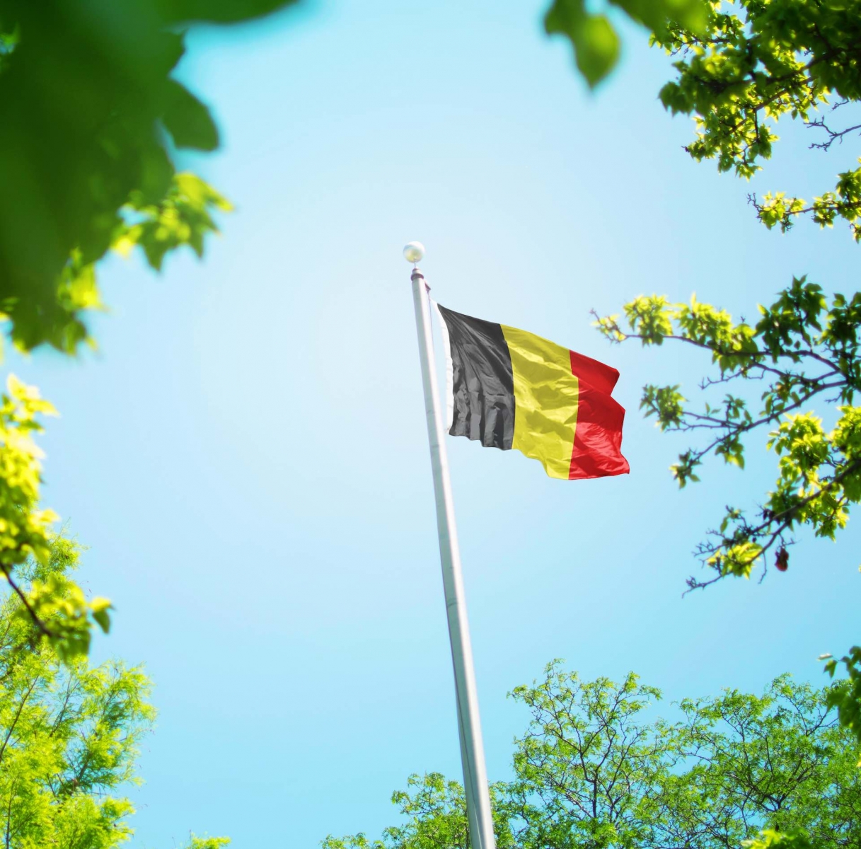 Belgische Flagge, belgische Flagge weht im Wind zwischen Bäumen