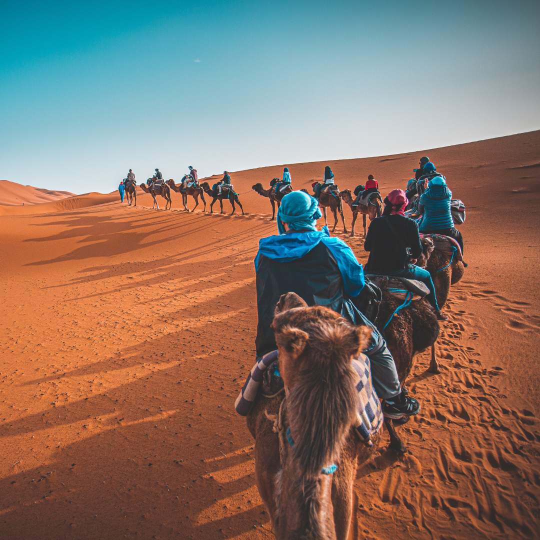 Menschen reiten Kamele in der Wüste in Marokko