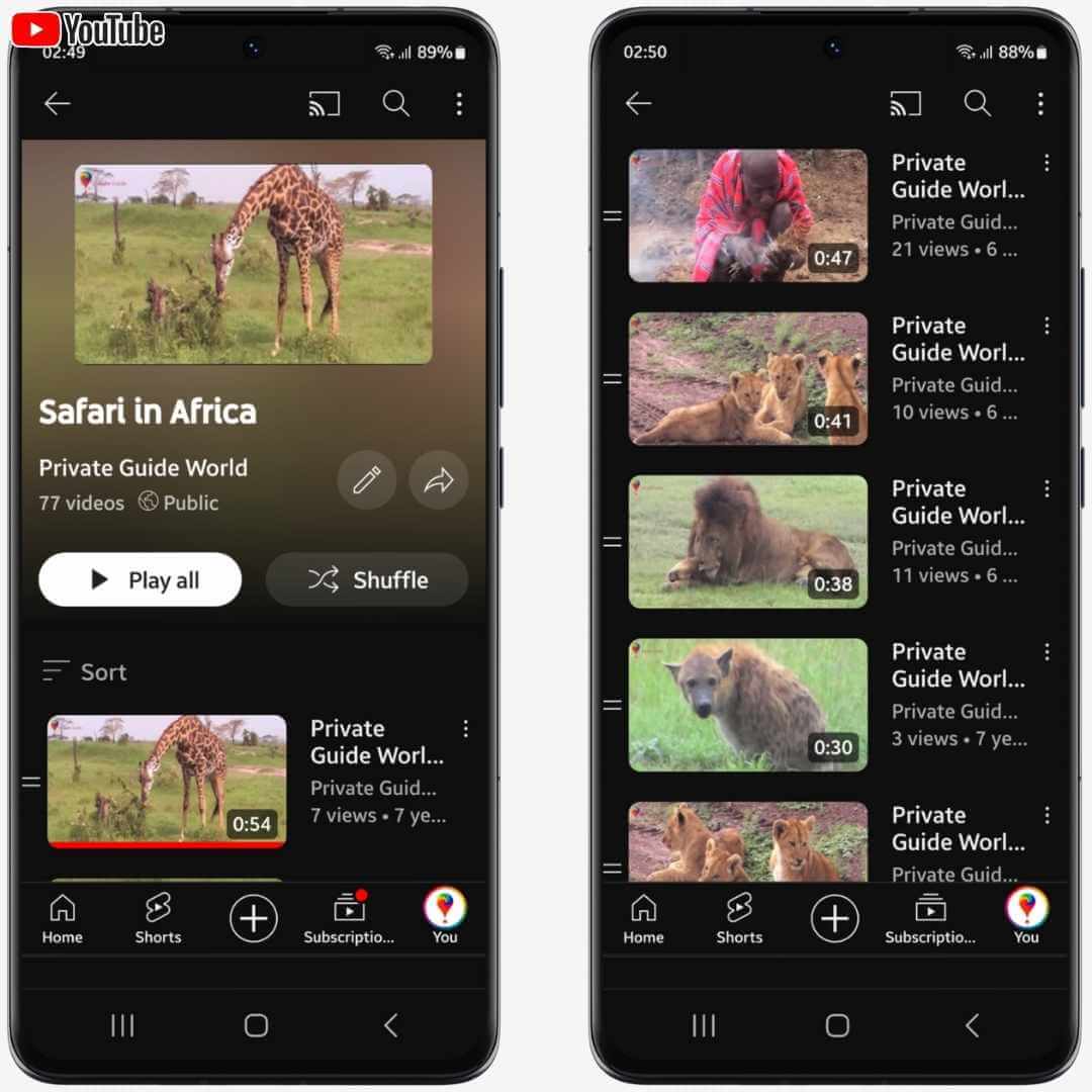 Versión móvil de la lista de reproducción Safari en África en el canal de YouTube @PrivateGuideWorld