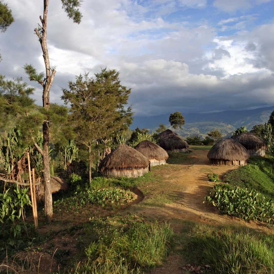 Pueblo tradicional - Papua Nueva Guinea