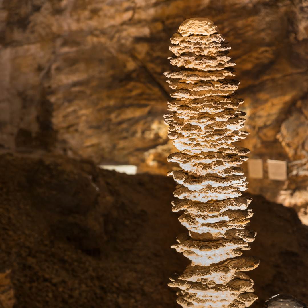 reino subterráneo adornado con increíbles estalactitas, estalagmitas, coladas y otras formaciones intrincadas creadas por la lenta deposición de carbonato de calcio