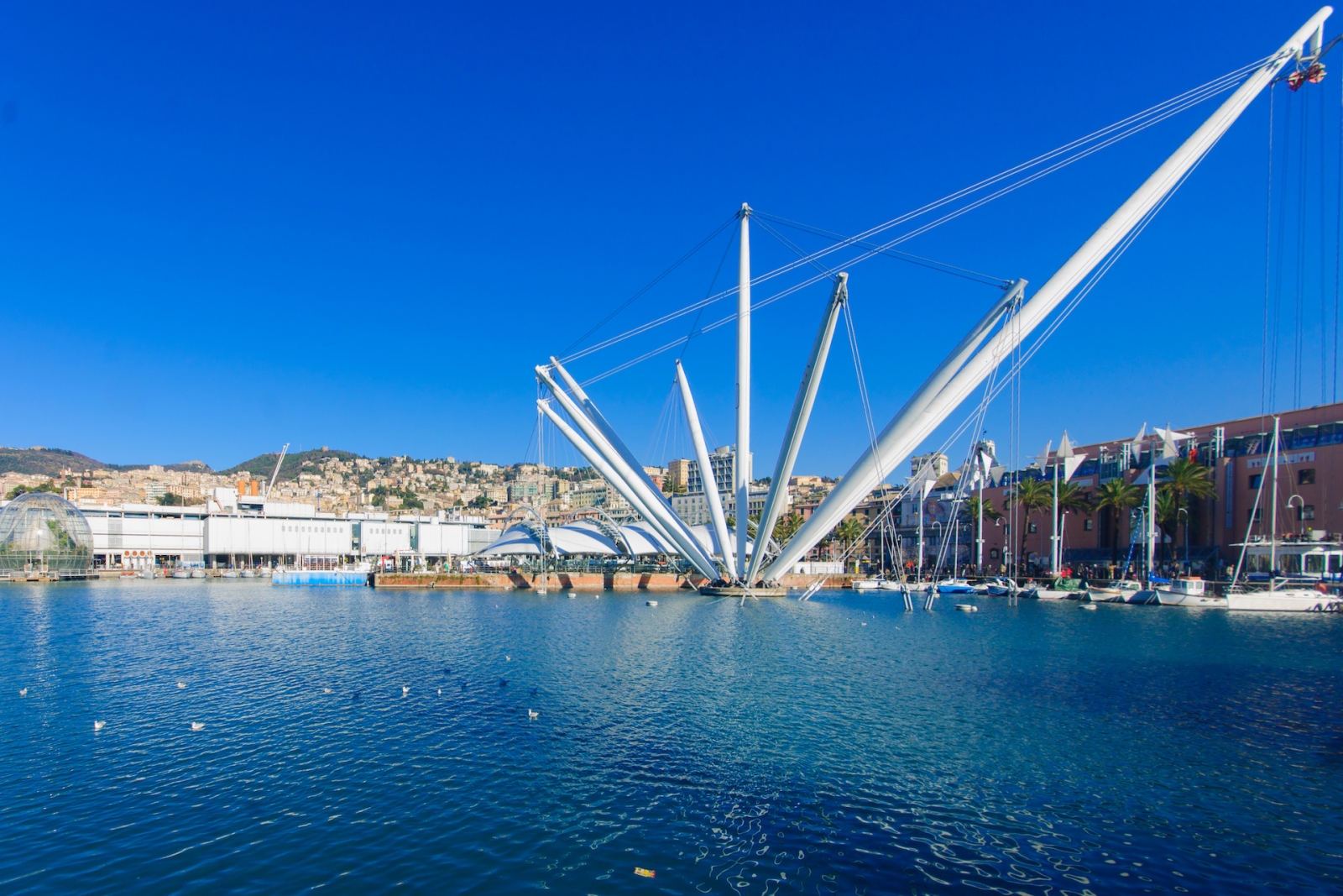 Vieux port, Gênes