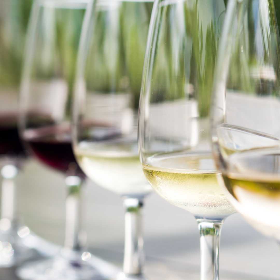 Weinprobe in Stellenbosch, Südafrika. Von vorne: Blanc de Noir, Chardonnay, Sauvignon Blanc, Merlot, Cabernet Sauvignon