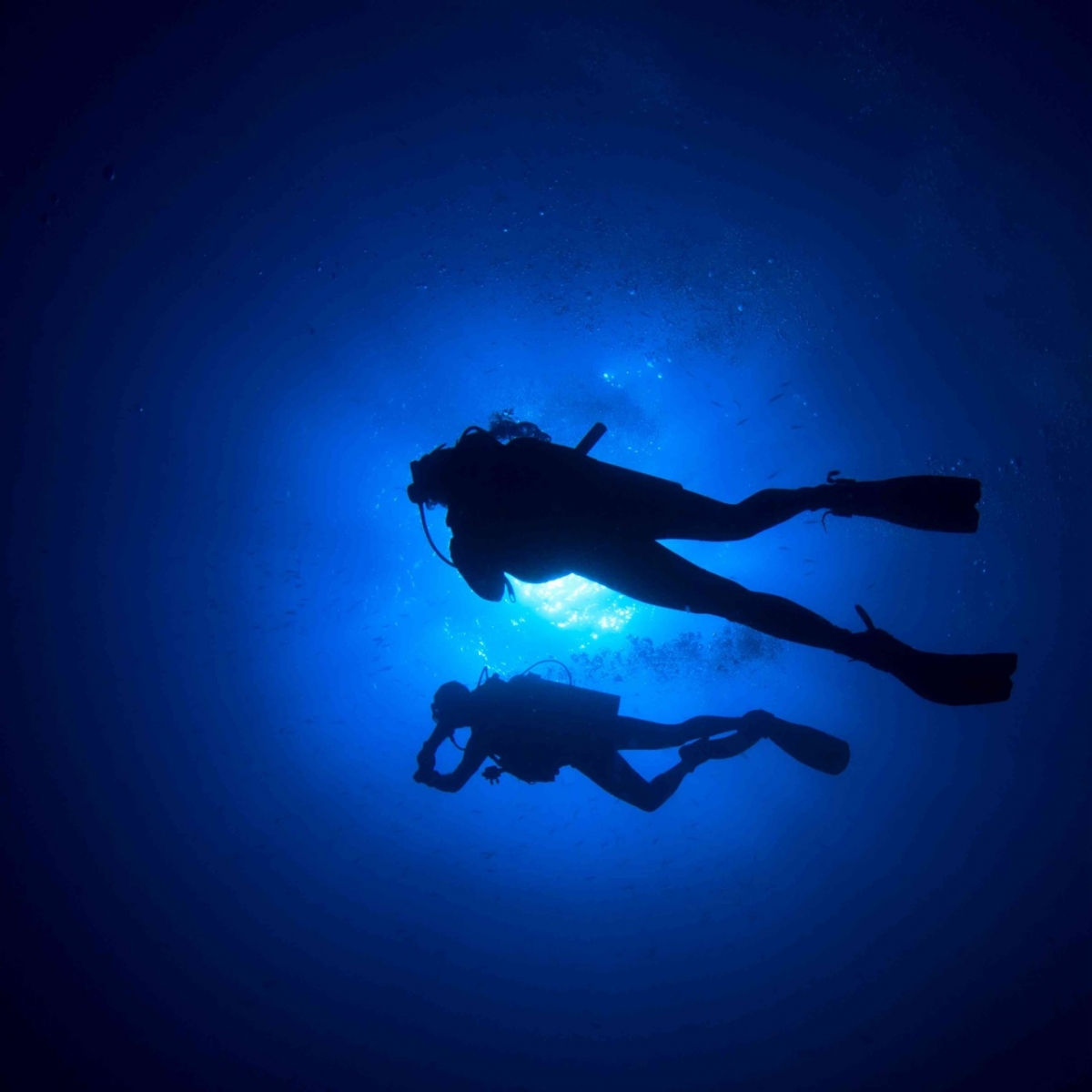 Plongée sous-marine aux Philippines