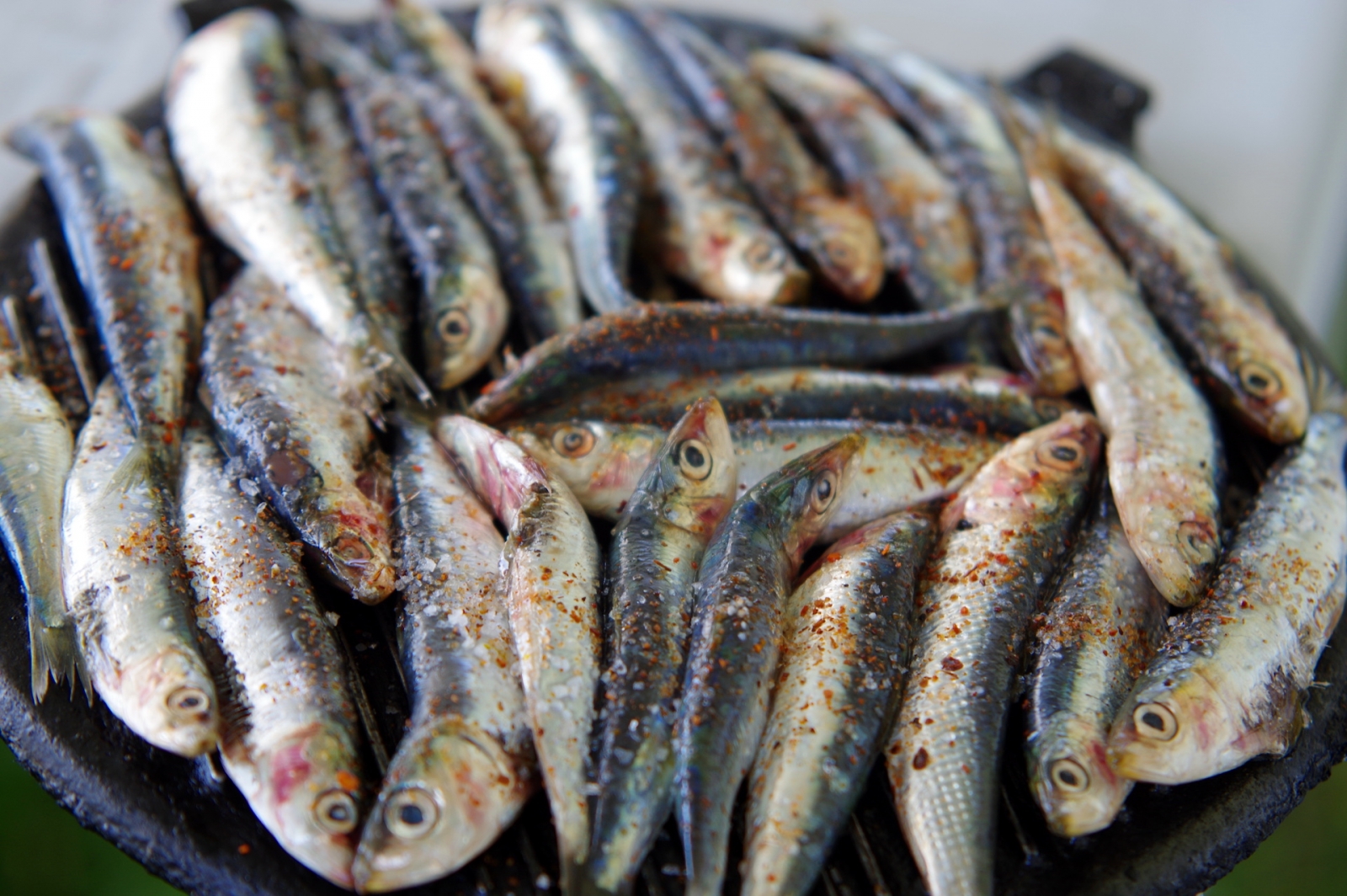sardinas a la barbacoa
