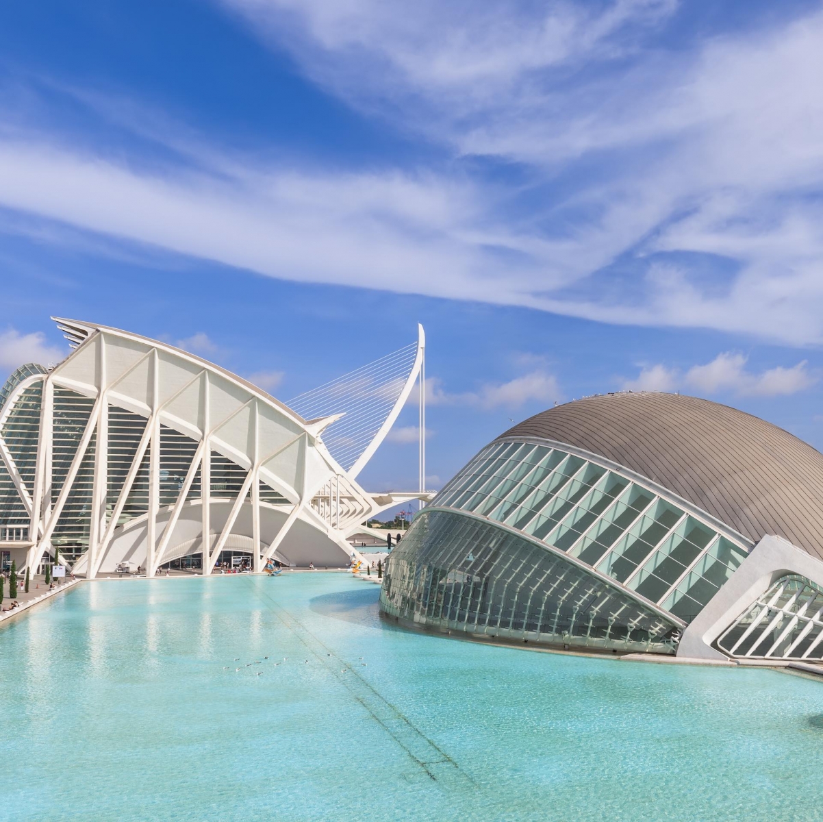 The Hemisfèric is a singular and spectacular building, designed by Santiago Calatrava, which represents a great human eye, the eye of wisdom. This element symbolizes the look and observation of the world that visitors discover through surprising audiovisual projections.